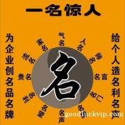 专业宝宝取名、风水咨询策划